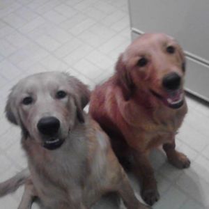 Meet your Posher, Jim